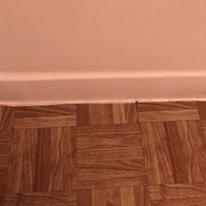 Meet your Posher, Ismael